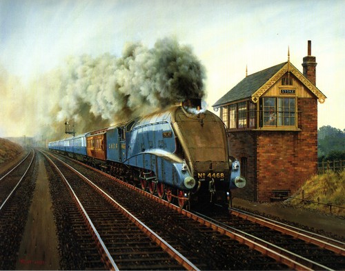 Mallard stoke bank achieves - stoke,